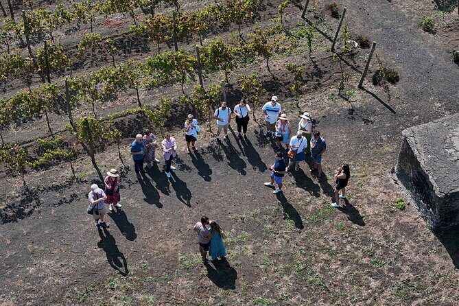 Pompeii and Naples From Rome: Private Full-Day Tour with Lunch - Pizza lunch and tastings: not just a break, but part of the experience
