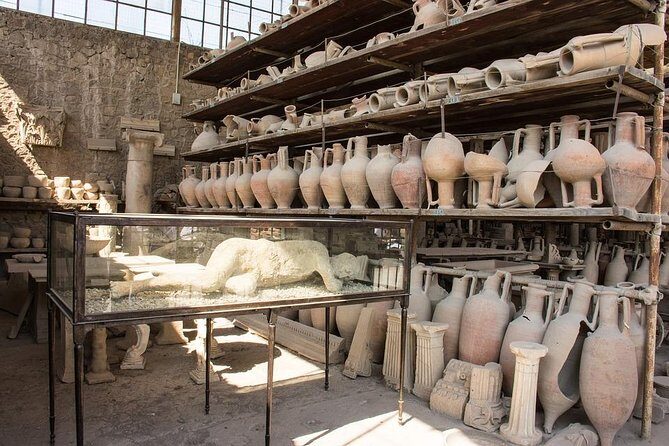 Pompeii and Naples Tour by High-Speed Train - Transport: minivan rides, train time, and why logistics matter