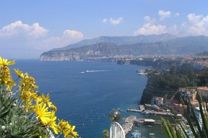 Pompeii and Sorrento Day Trip from Naples - Price and logistics: is $110.12 good value?