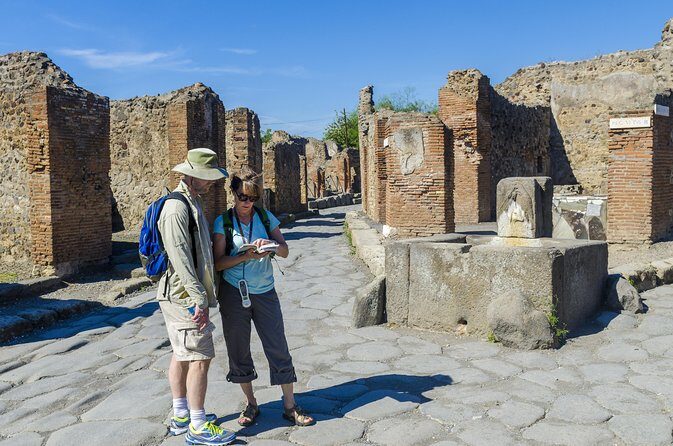 Pompeii and Vesuvius Full Day Private Shore Excursion - Lunch on your own: simple choices that fit the schedule
