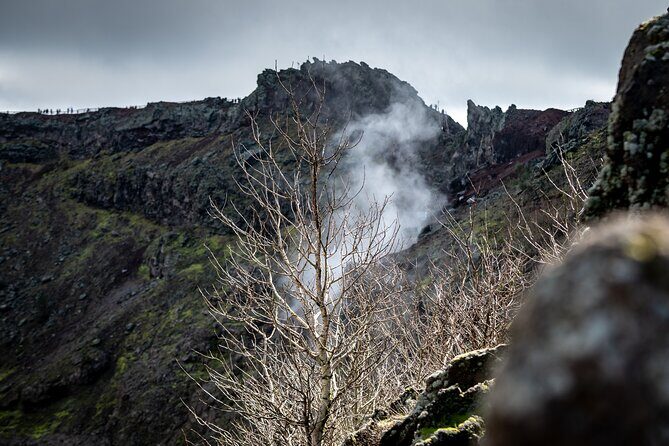 Pompeii and Vesuvius Small Group Tour from Sorrento with Pizza - Key highlights and practical wins