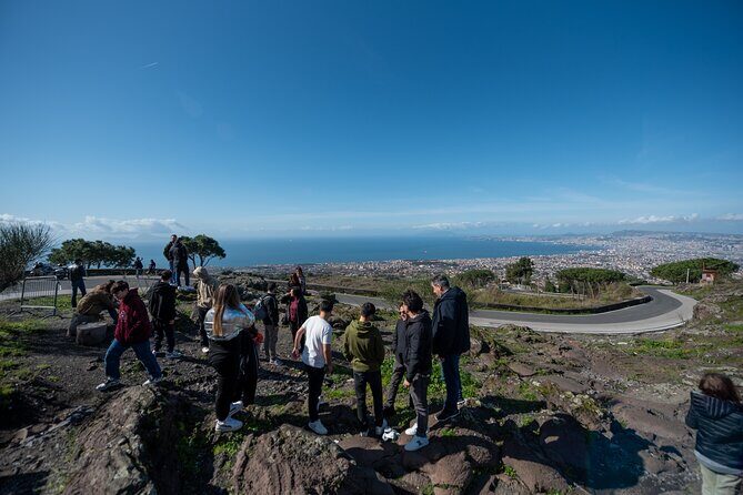 Pompeii and Vesuvius Small Group Tour from Sorrento with Pizza - Vesuvius National Park: getting to the crater (and what to expect)