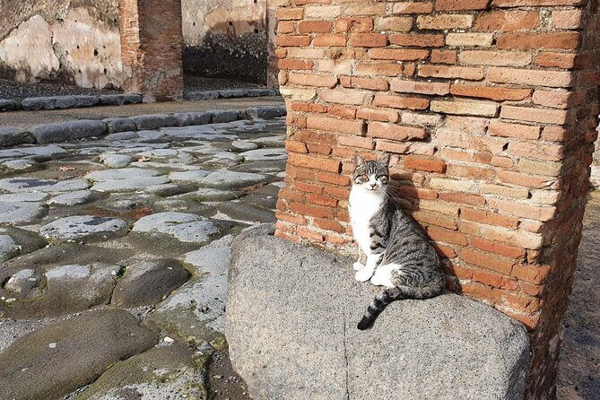 Pompeii and Vesuvius Tour with Pickup - Why This Pompeii + Vesuvius Day Works (and for whom it’s ideal)