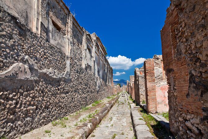 Pompeii and Vesuvius Wine Tasting Private Tour - Starhotels Terminus Pickup: Starting Smooth in Naples