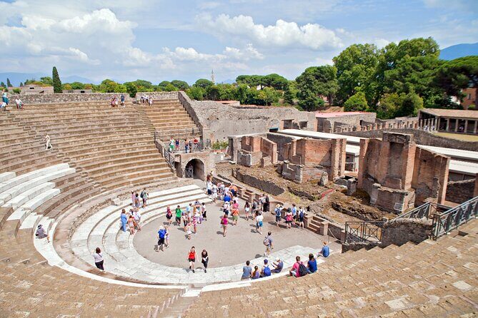 Pompeii and Vesuvius Wine Tasting Private Tour - Pompeii in Two Hours: Ruins Without the Endless Wander
