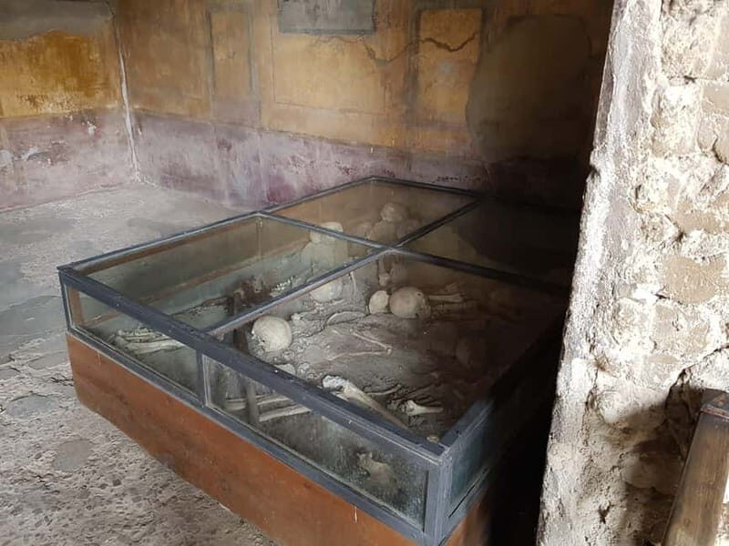 Pompeii: Entry Ticket w/ Guide and Transfers or Audio Guide - Guide vs Audio Guide: Picking the Right Way to See Pompeii