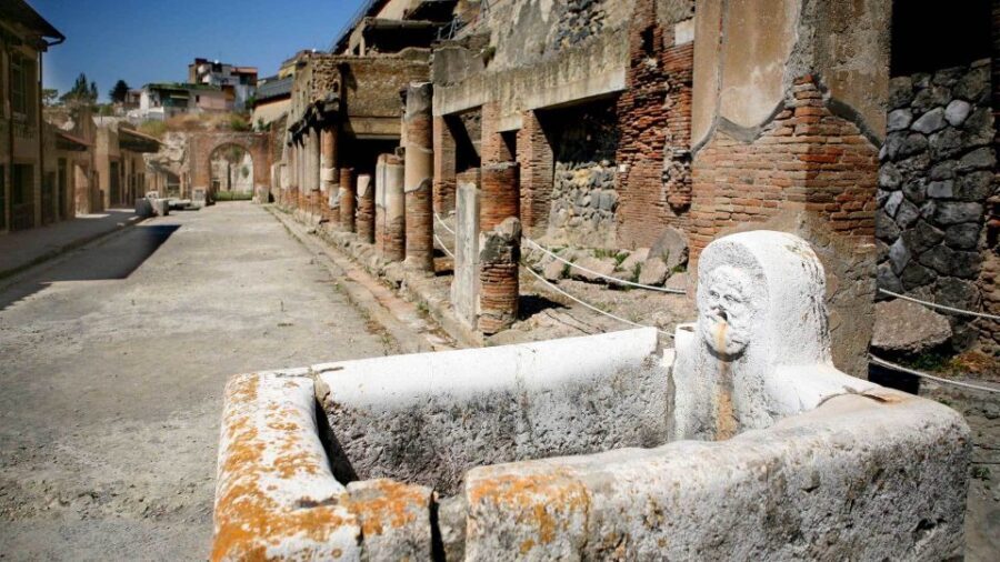 Pompeii Guided Walking Tour – Skip-the-Line Priority Access - Skip-the-line priority access: does it justify $47?