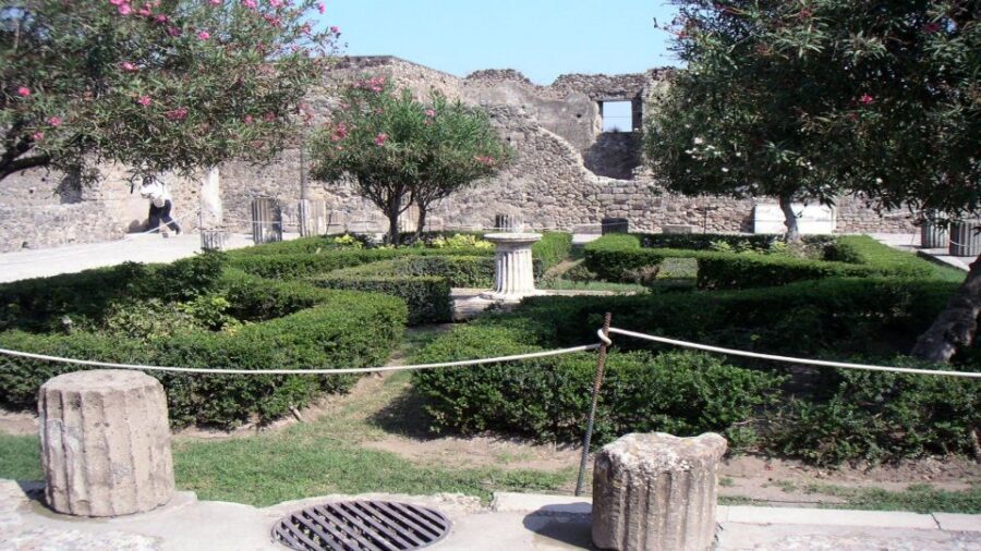 Pompeii Half-Day Coach Tour from Sorrento - Garden of the Fugitives: The Stop That Feels Like a Story