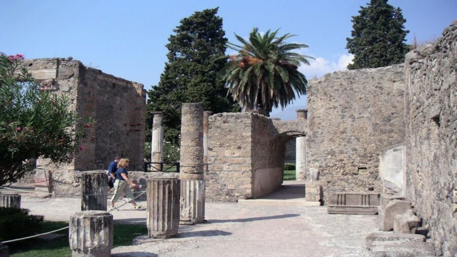 Pompeii Half-Day Coach Tour from Sorrento - Meeting Point Timing and the Heat Factor You Should Plan For