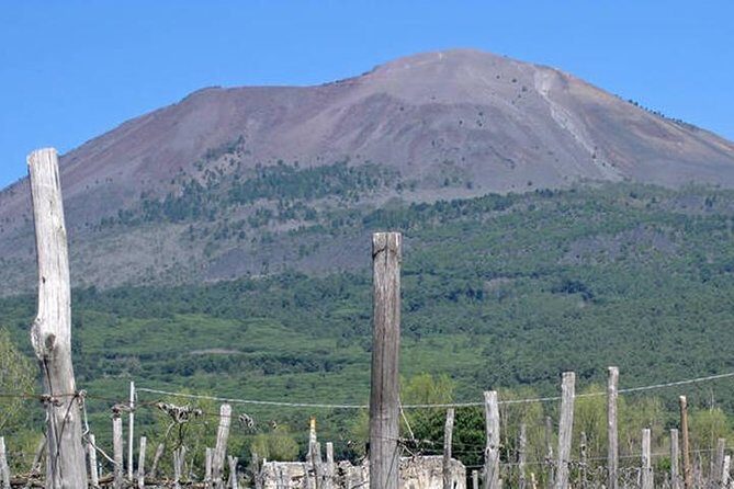 Pompeii, Herculaneum and Vesuvius Private Guided Tour - Pompeii Archaeological Park: What You’ll Gain From a Real Guide