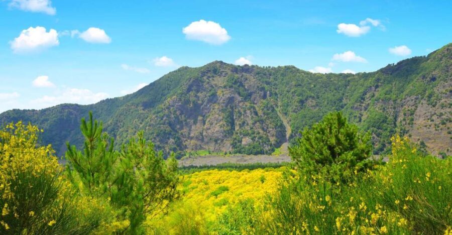 Pompeii, Herculaneum and Vesuvius Tour - Mount Vesuvius and the crater area: views with real drama