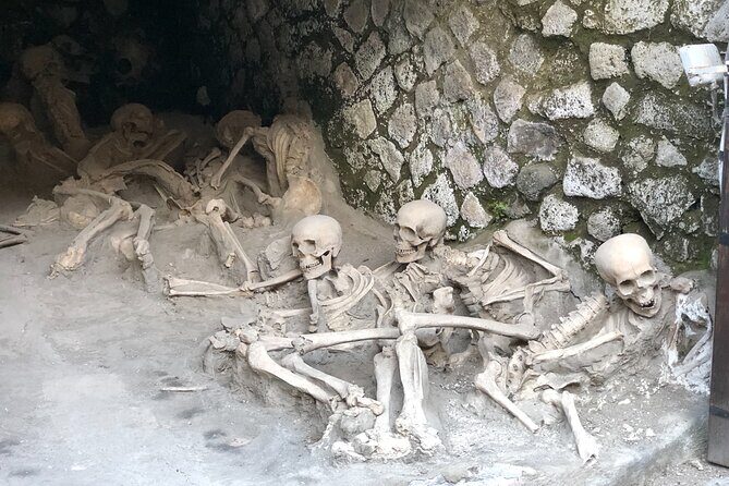 Pompeii & Herculaneum Family Adventure | Guide+Transport+Tickets - House of the Deer: luxury with a dramatic focal point