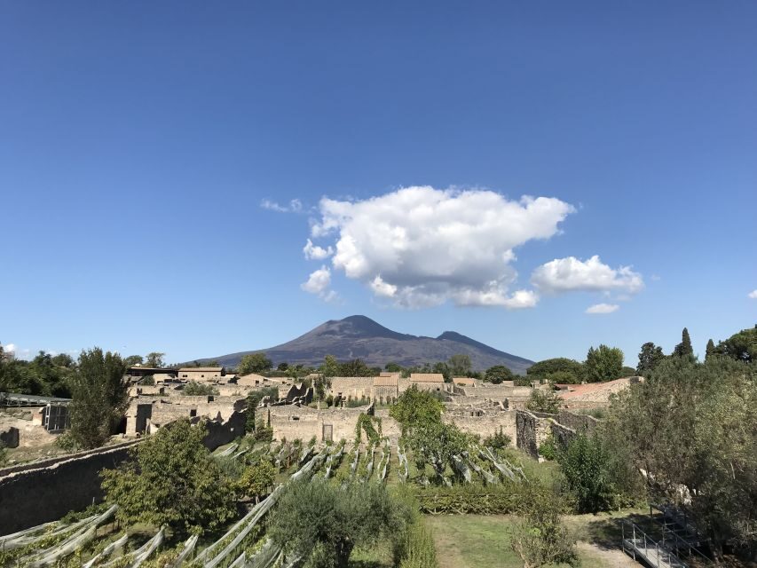 Pompeii & Herculaneum Private Skip-the-Line Tour with Ticket - Where You Meet: Porta Marina Superiore Makes the Day Easy