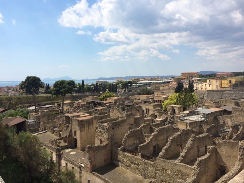 Pompeii & Herculaneum Private Skip-the-Line Tour with Ticket - Pompeii in 2 Hours: Theater, Sacred Area, and the Brothel Signs