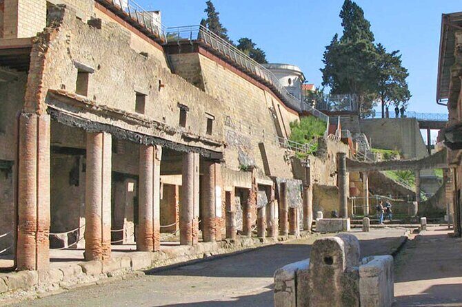 Pompeii & Herculaneum Private Tour: Fast-Track, Winery & Lunch - Naples pickup to Vesuvius country without losing your day