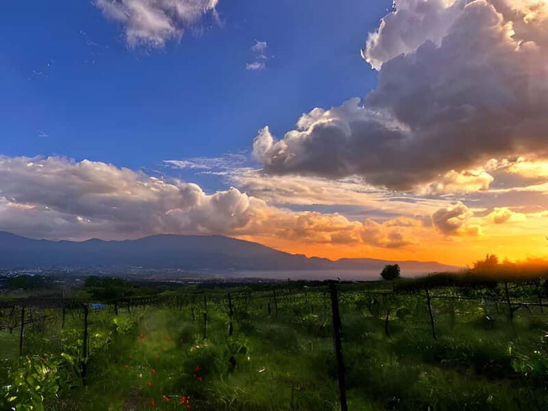 Pompeii: Mount Vesuvius Night Horseback Ride and Italian BBQ - The Night Horseback Ride Near Vesuvius (What It Feels Like)