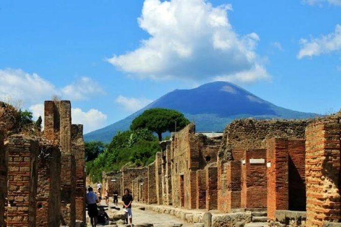 Pompeii, Mt Vesuvius and Wine Tour - Pompeii With a Professional Guide for Two Hours