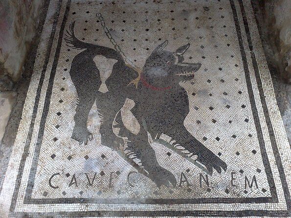 Pompeii Positano and Sorrento shared excursion with Pompeii skip the line entry - Lunch time in Pompeii: where to eat and how to keep your energy