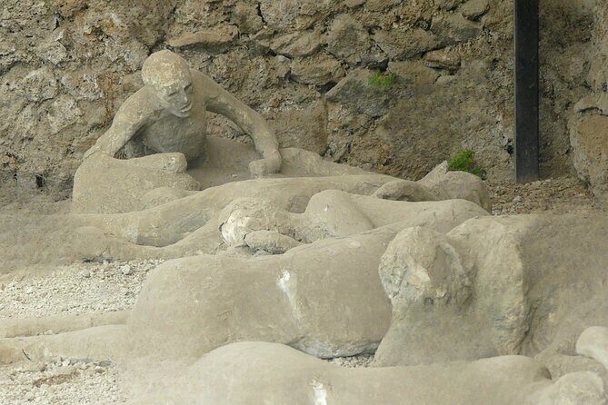 Pompeii private tour - Door-to-Door Naples Pickup: The Real Reason This Works
