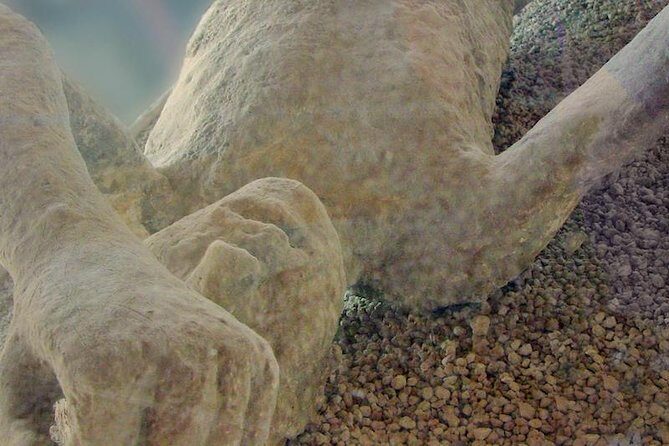 Pompeii Private Tour from Sorrento Entrance fees included - Morning or Afternoon: Choosing the Time That Fits Your Energy