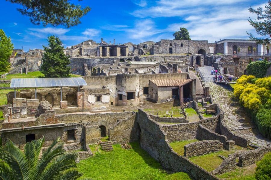 Pompeii: Private Tour with Hotel Pickup and Entry Ticket - The private driver part: convenience with real-world impact