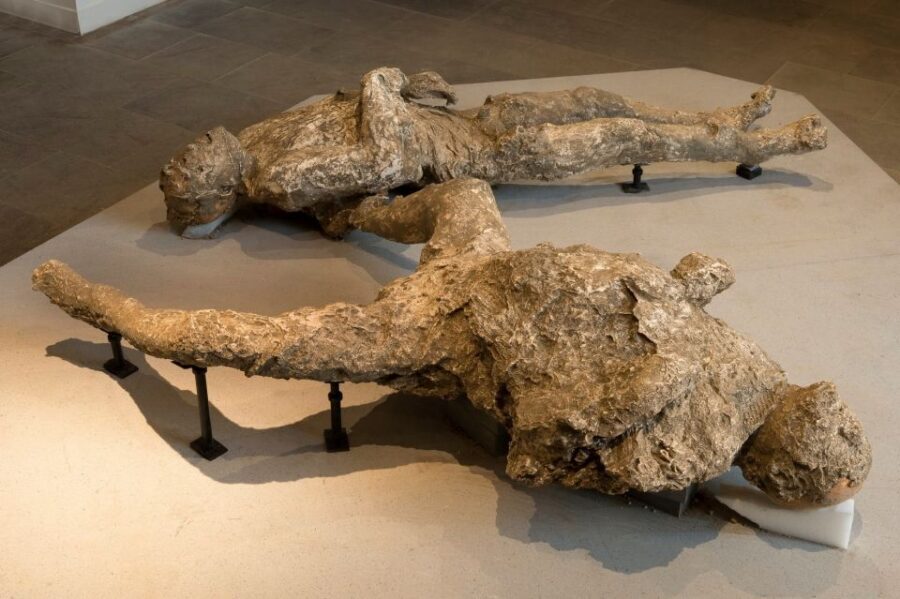 Pompeii: Private Tour with Hotel Pickup and Entry Ticket - Who should book this Pompeii private tour?