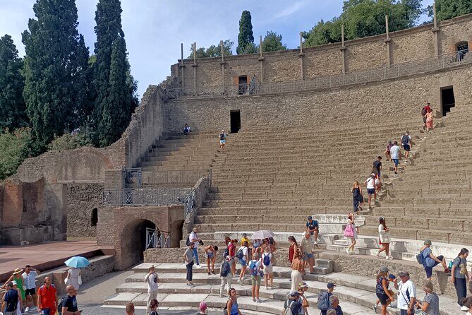 Pompeii ruins and Archaeological Museum private tour from Rome - Who this tour is best for (and who should rethink it)