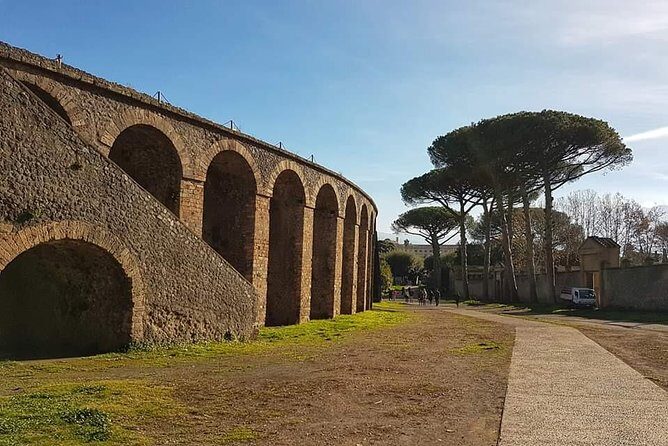 Pompeii Ruins: Day Trip from Naples with skip the line ticket - What’s included vs. what you’ll need to plan yourself
