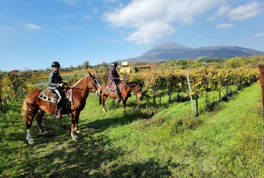 Pompeii: Ruins Tour and Mount Vesuvius Horseback Ride - A tight 8-hour loop: Pompeii, Vesuvius, and a winery terrace