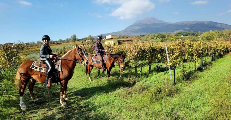 Pompeii: Ruins Tour and Mount Vesuvius Horseback Ride - Getting up toward Vesuvius: expect short van legs and mountain driving