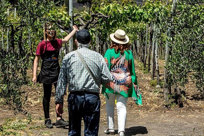 Pompeii Ruins & Wine Tasting with Lunch on Vesuvius with Private Transfer - Optional Herculaneum: a calmer counterpart to Pompeii