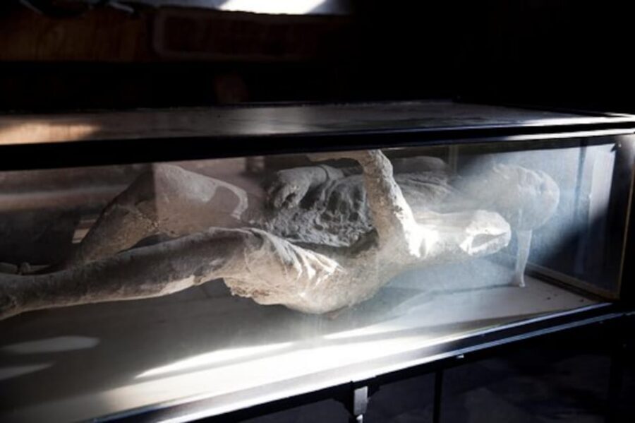 Pompeii: Skip-the-Line Guided Tour with Expert Archaeologist - Your Pompeii Walking Route: From Forum Energy to Street-Level Life