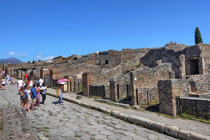 Pompeii: Skip-the-line-Ticket with Guided Tour - Price and Value: Is $64.89 a Smart Spend?