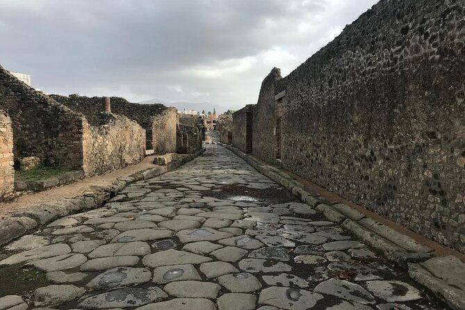 Pompeii Small Group Guided Tour with Skip-the-line Admission - Pompeii residences: Menander, Faun, Vettii, Caecilius Iucundus, and more