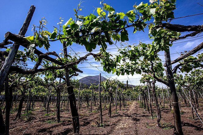 Pompeii Small Group Tour & Food/Wine tasting at Mt. Vesuvius - Porta Marina Superiore: starting Pompeii without wasting daylight