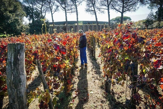 Pompeii Small Group Tour & Food/Wine tasting at Mt. Vesuvius - Meeting real archaeologists: how guides like Ricardo and Ornella shape the day