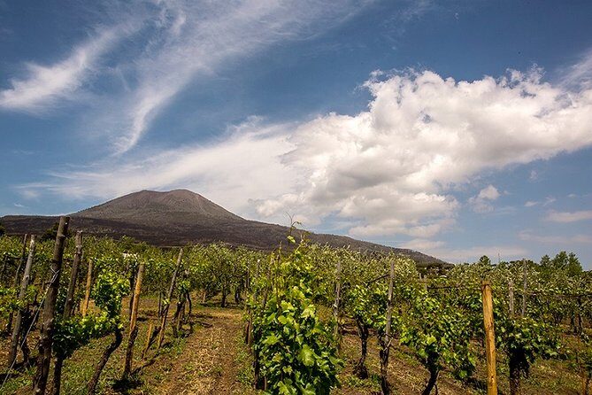 Pompeii Small Group Tour & Food/Wine tasting at Mt. Vesuvius - The food pairing: antipasto and pasta, plus wine-infused gelato