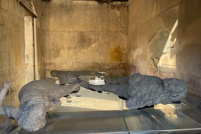 Pompeii, Vesuvius & wine tasting from Positano all inclusive - Timing and pacing: how to plan your body for 8–9 hours