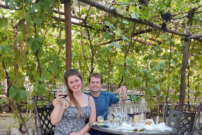 Pompeii, Vesuvius & Wine Tasting Private day Tour - Price and value: what $317.89 per person buys you