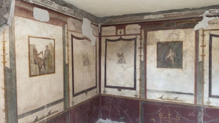 Pompeii-Vesuvius & Winery All Inclusive Tour From Positano - Key Things That Make This Day Work