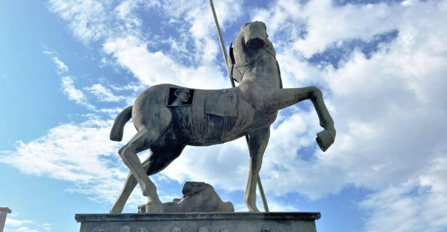 Pompeii-Vesuvius & Winery All Inclusive Tour From Positano - What the Small Group Actually Changes