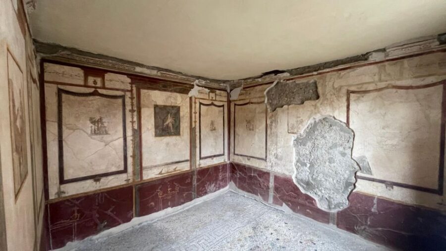 Pompeii-Vesuvius & Winery All Inclusive Tour From Positano - Practical Tips: How to Feel Good on This 9-Hour Day