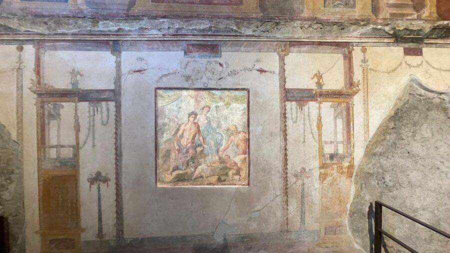 Pompeii-Vesuvius & Winery All Inclusive Tour From Positano - Who Should Book This Tour (and Who Might Not)