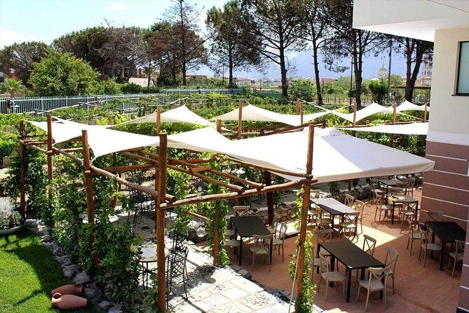 Pompeii & Vesuvius with Lunch & Wine Tasting from Amalfi Coast - Casa Setaro and Vigna delle Rose: wine tasting plus lunch in a UNESCO Biosphere Reserve