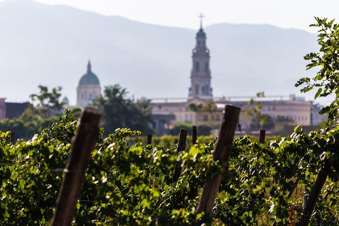 Pompeii Vineyard Escape: Private Wine Tasting & Lunch - Where to meet, and how to plan your timing