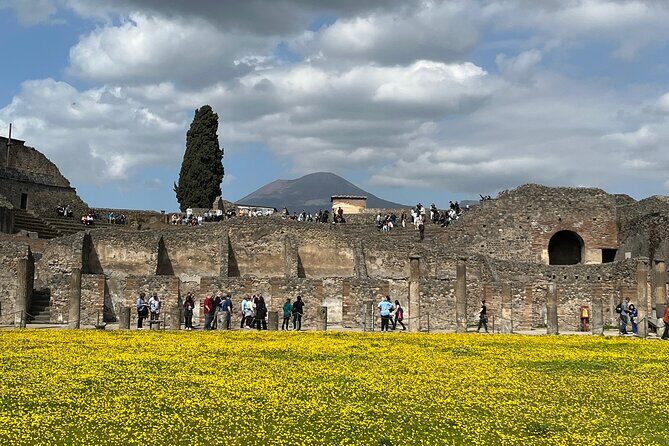 Pompeii walking tour (2hrs) - How Roman daily life shows up: food, bathing, and routines