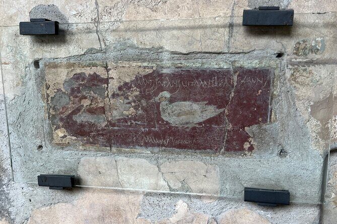 Pompeii walking tour (2hrs) - Gladiators’ gym and the entertainment side of Pompeii