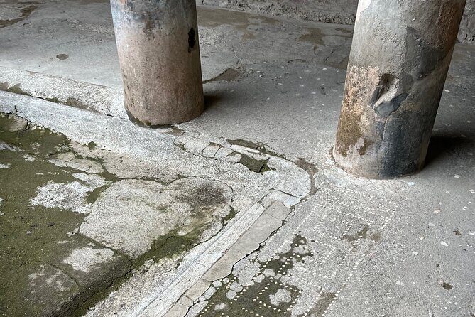 Pompeii walking tour (2hrs) - Price and value: $60.08 for a guided walk, plus park admission