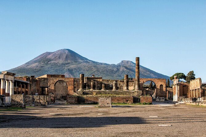 Pompeii & Wine Tasting : Private Day Trip from Naples - Wine tasting rules and who should consider them