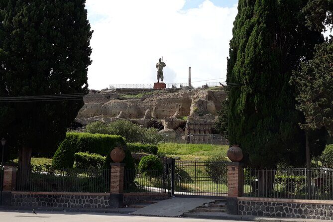 Pompeii & Wine Tasting : Private Day Trip from Naples - Practical tips so your day feels smooth